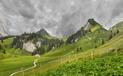 Explorer le Pays Basque – Découvrez les meilleurs lieux, activités et bons plans pour des vacances réussies !
