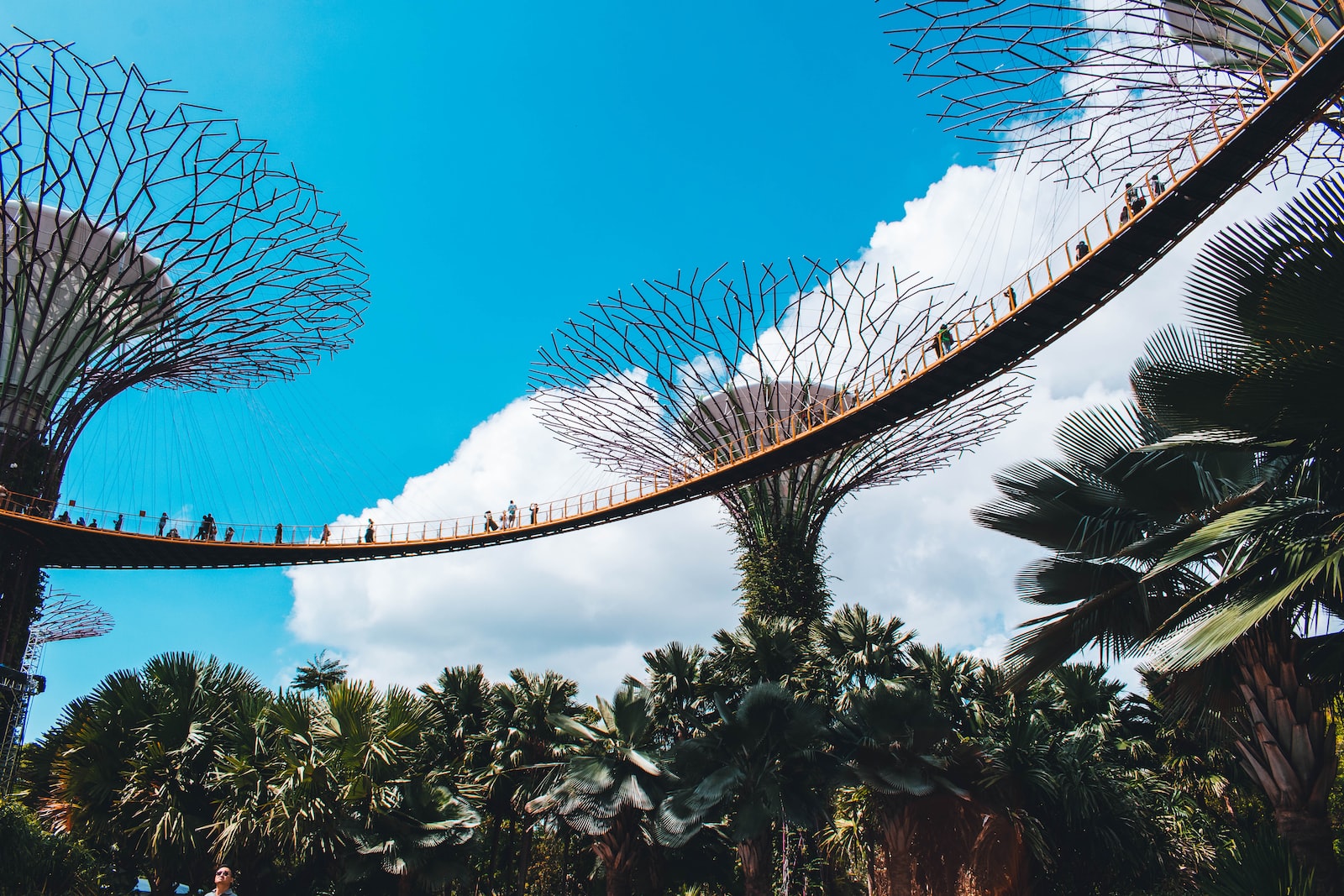 Rues de singapour à visiter