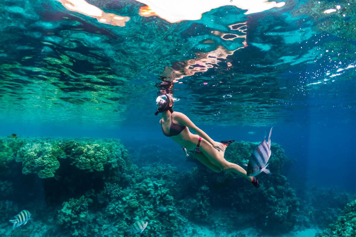 Snorkeling