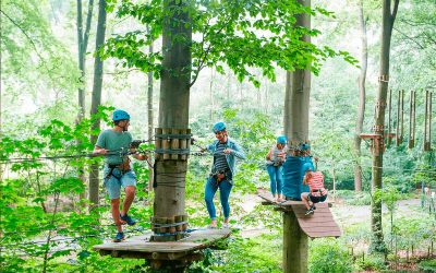 Une aventure familiale au parc accrobranche près de Poitiers